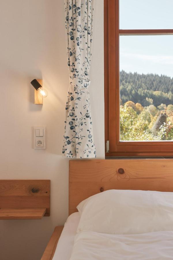 U Stare Hajenky Apartment Jindrichov Екстериор снимка